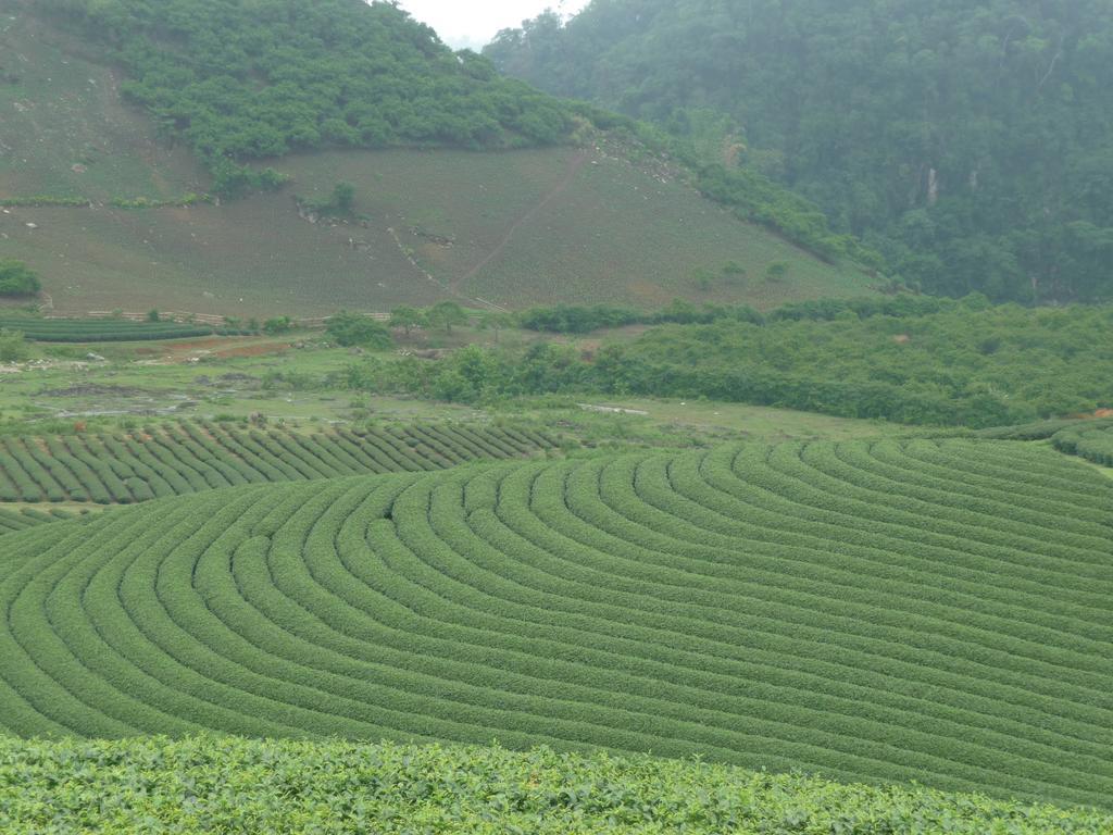 Mai Chau Valley View Hotel Hòa Bình Exterior foto